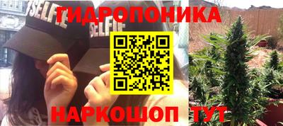 трава Будённовск