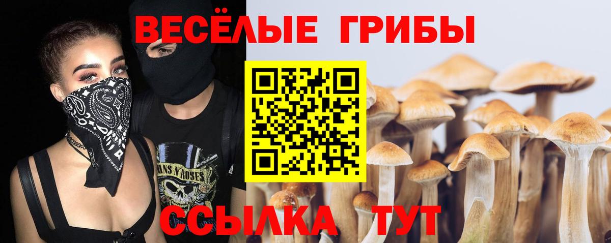 Кинешма  Псилоцибиновые грибы ЛСД  Вход с VPN 